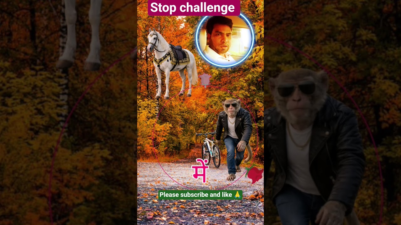 घोड़े पर बन्दर को सही टाईम पर बैठाना|Puzzle stop challenge video 🔥🥹