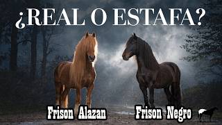 La Verdad de los Frisones Alazanes que Nadie Quiere Decir 🐴-Del Cerro Soy