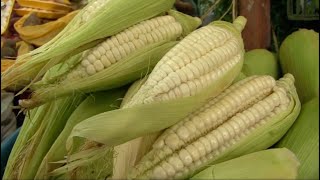 Peru Part 3: Dining in Lima, Peru, from Humble to Haute