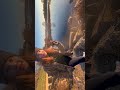 Blue Gill and rock bass (full video link down below) #bassfishing #bluegill
