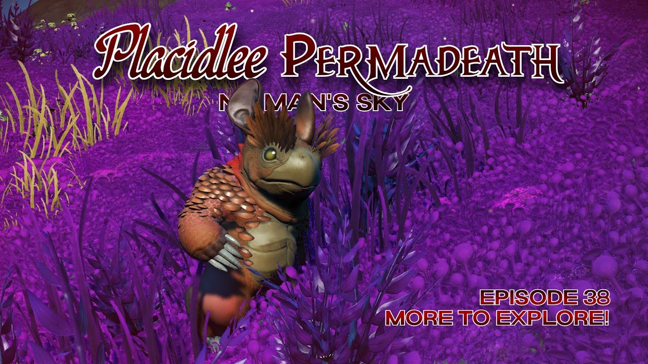 Placidlee Permadeath | Episode 38 - More to Explore! | No Man's Sky | Interceptor 4.38