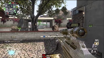 Black Ops 2 : 25 Kill Streak! (Brutal Killer)