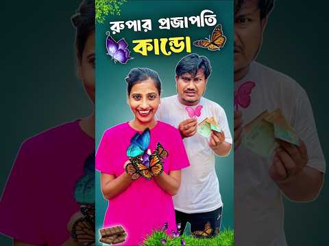 রুপার প্রজাপতি কাণ্ড 🦋।#shorts #minivlog #vlog #shortsfeed #samantaswarnalivlog #dealyvlog thumbnail