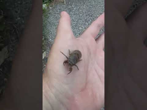 Made another friend.       