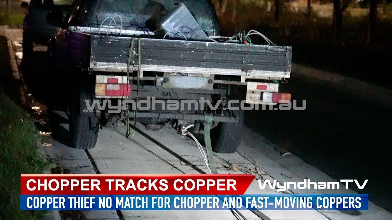 Гусеницы измельчителя медные