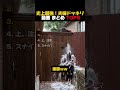 史上最強！夫婦ドッキリ 動画 まとめ TOP5