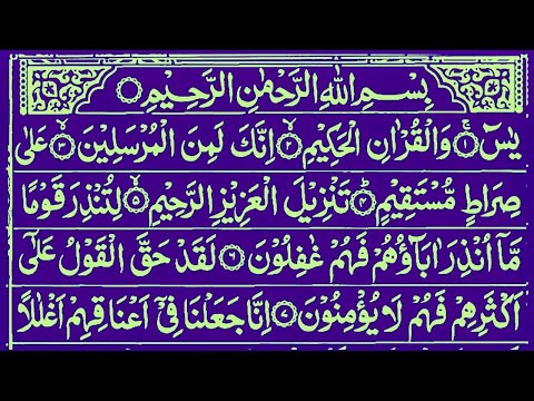 Surah Yaseen Surah Ar Rahman Complete | Daily Quran Tilawat | Surah Yasin Surah Rahman 