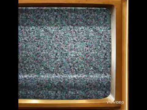 ياحمام الدوح الفنان وعد زينو