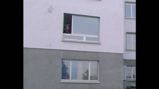 Gassigehen Leicht Gemacht