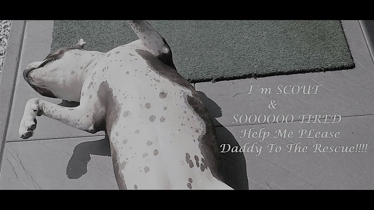 Daddy To The Rescue - Too Tired