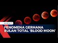 Antusias! 2.000 Orang Saksikan Fenomena Gerhana Bulan Total 'Blood Moon' di Taman Ismail Marzuki