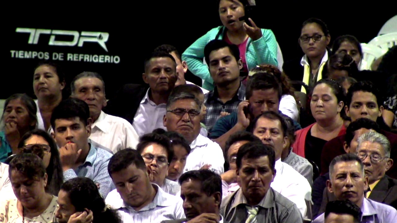 TDR2017 Rev Elias Limones 