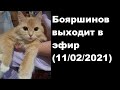 Бояршинов выходит в эфир (11/02/2021)