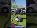 Easy tire removal #tirereplacement #michelin #toyotires #comercial #diy