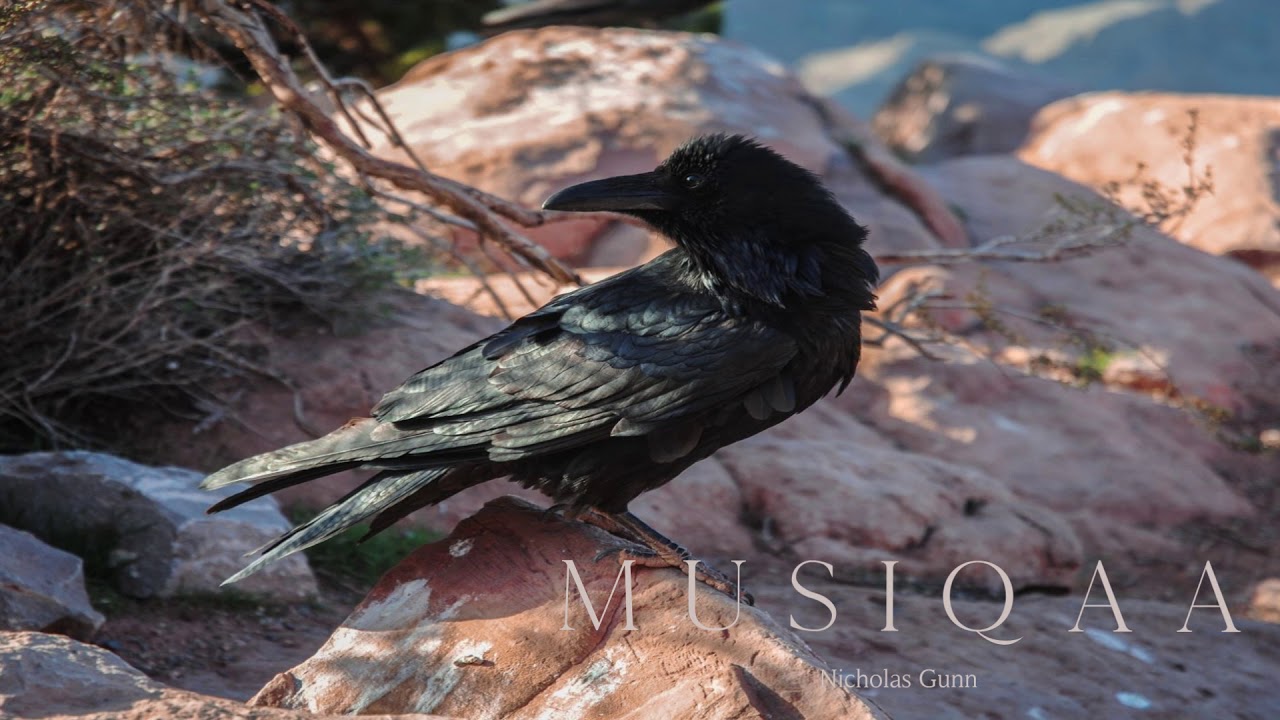 YouTubeでNicholas Gunn ⋄ Beyond Grand Canyon ⋄ Music of the Great Southwest National Parksを視聴 YouTubeでNicholas Gunn ⋄ Beyond Grand Canyon ⋄ Music of the Great Southwest National Parksを視聴