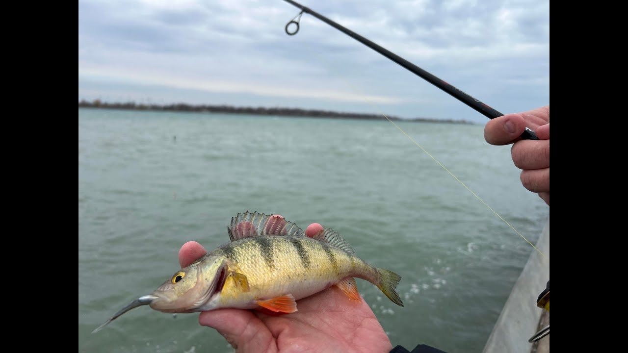 Perch Fishing March 19 2024 