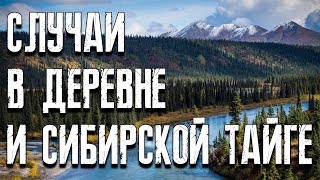 видео: Страшные истории про деревню и случай сибирской тайге. Страшные истории на ночь. Мистические истории картинка: Страшные истории про деревню и случай сибирской тайге. Страшные истории на ночь. Мистические истории