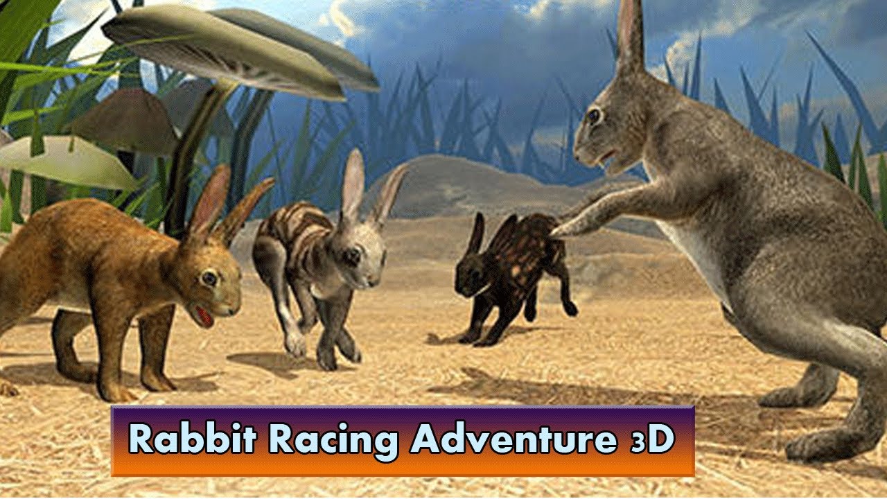 Game Rabbit Racing Rabbit Racing Adventure 3D - YouTube