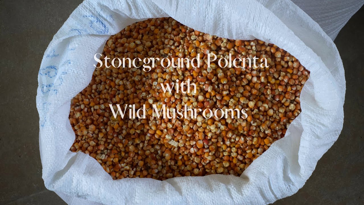 Italian Farm Stoneground Polenta with Wild Mushrooms | Slow Food Farm to Table Recipe Video