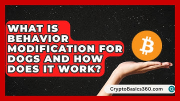 What Is Behavior Modification for Dogs and How Does It Work? | Obedient Dog Guide