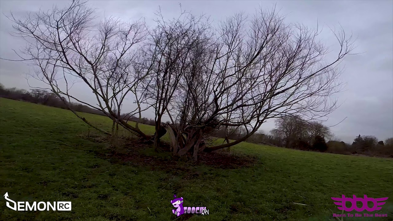 Goochi FPV - Chilled