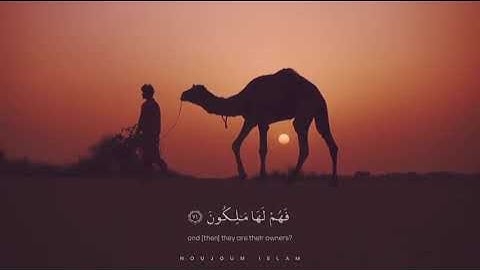 أَوَلَمْ يَرَوْا أَنَّا خَلَقْنَا لَهُمْ مِمَّا عَمِلَتْ أَيْدِينَا أَنْعَامًا-القارئ أحمد النفيس 🌿💚