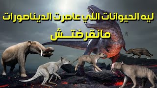 كيف انقرضت الديناصورات وماذا حدث بعد اختفاء الديناصورات