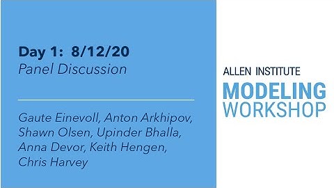 Allen Institute Modeling Workshop | Panel discussion with day 1 presenters