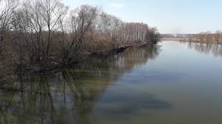 Мутин. Річка Сейм станом на 28 березня 2021. Чи буде великий розлив? Кролевеччина