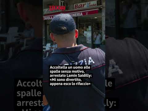 Video Accoltellato a Milano, l'aggressore Lamin Saidilly: «Mi sono divertito, appena esco lo rifaccio»
