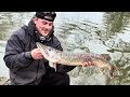Zander session with Eddy and Mark — hijacked by a Pike right from the start. #zander
