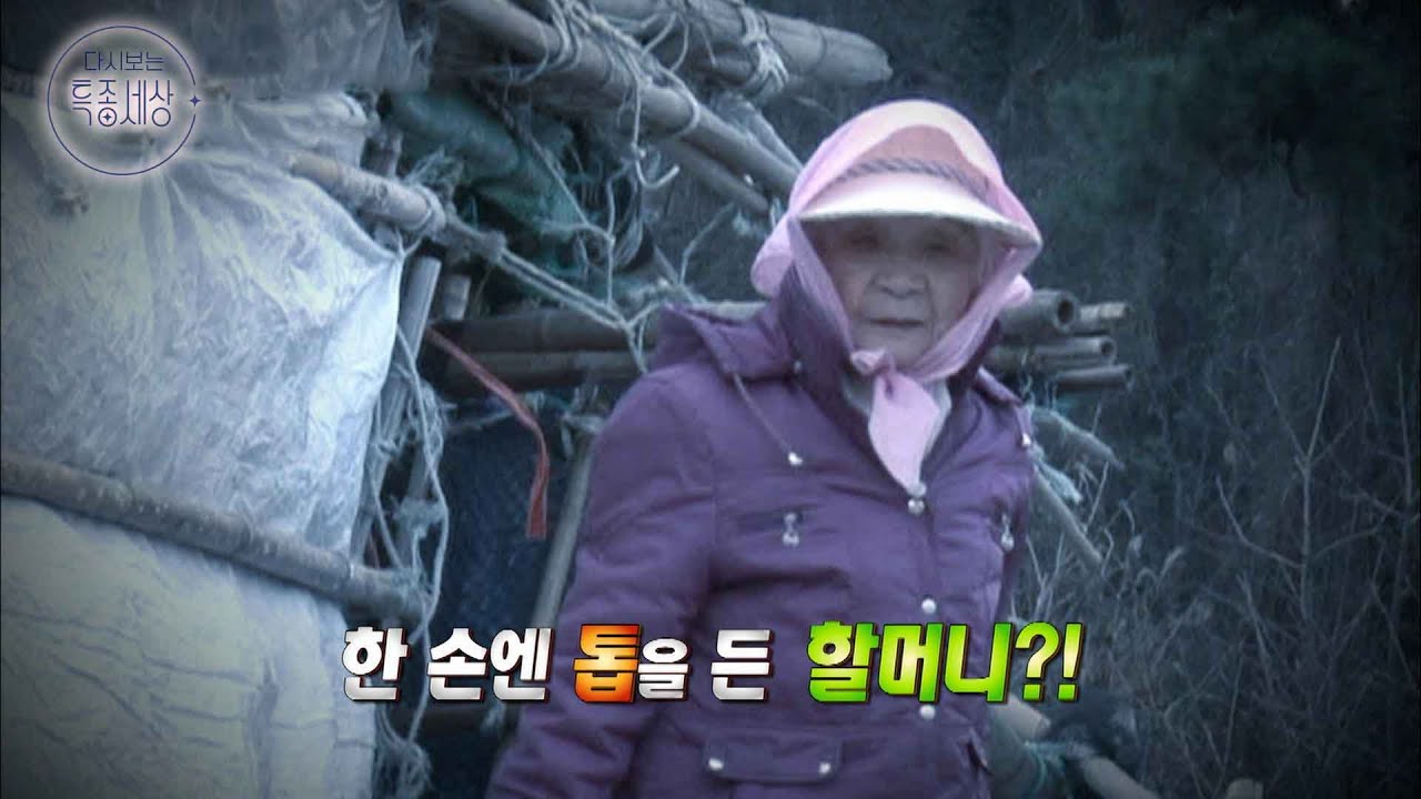 정신없는 할머니가 이상하게 집을 지어놨어. 바닷가 움막의 비밀?!｜다시보는 특종세상 199회