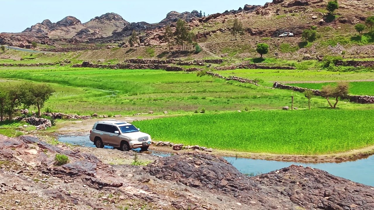 سموني السودا انا الزبيبة - اقوى اغنية فواد الكبسي - مشاهد حصرية