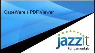 CaseWare's PDF viewer screenshot 4