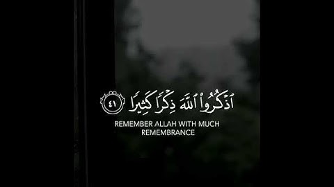 حالات واتس اب قران كريم/ للشيخ ياسر الدوسري جميلة ❤❤