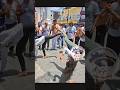 Roda de Capoeira | mulher jogando #capoeira