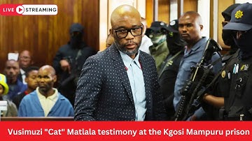 Vusimuzi "Cat" Matlala testimony at the Kgosi Mampuru prison |  Parliament Ad Hoc Committee