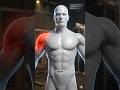 Why Your Lateral Raises Aren't Building Width (Fix This)