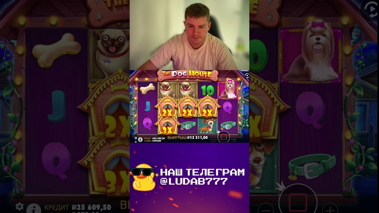 КРУПНЫЙ ЗАНОС В DOG HOUSE 