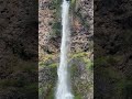 The PNW feels unreal #shorts #short #shortsvideo #shortvideo #viralvideo #video #subscribe #travel ￼