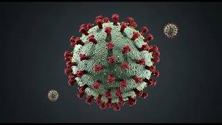 Geimpft Gestorben Ein Pathologischer Atlas Der Corona-Impfschäden