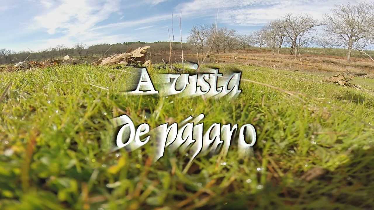 A vista de pájaro
