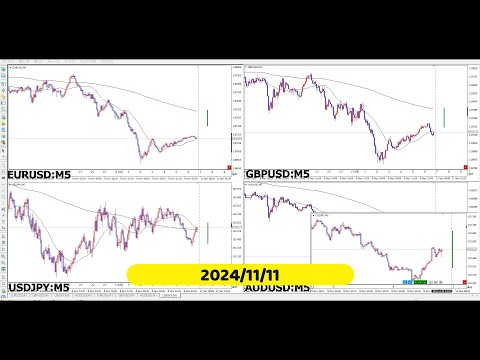 【RCCで振り返る】2024年11月11日対米ドルの4通貨ペア
