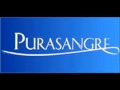 Purasangre Shout Shout Douglas 