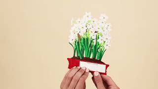 Festive Paperwhites Holiday Pop-Up Cards - Set of 8 | MoMA Design Store
MoMA Exclusive: “Season’s Greetings” Pop-up elements and metallic details. Designed and engineered by hand, and painstakingly assembled by hand, these 3D cards are more like objects than simple greeting cards. We use the highest quality embellishment, from metallic foils, glitter and specialty inks. https://mo.ma/4fFXUkC Festive Paperwhites Holiday Pop-Up Cards - Set of 8 | MoMA Design Store