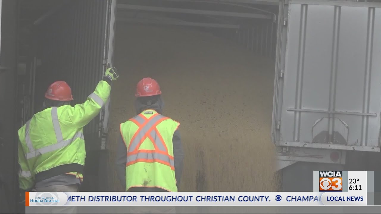 From the Farm High corn bids YouTube