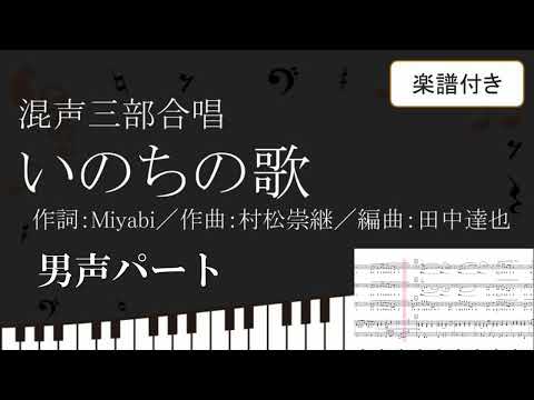 【合唱曲】 いのちの歌 田中達也編曲版 男声パート 楽譜付き Miyabi 村松崇継 03