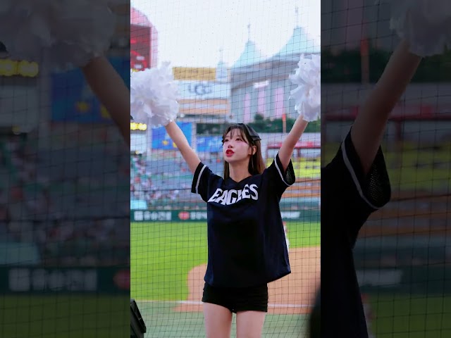 한화이글스 야구장 우수한 치어리더 응원 직캠 영상