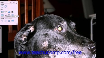 Photoshop Elements 12 Tutorial Using Toolbars and Panels in Full Screen View Adobe Training 2.4