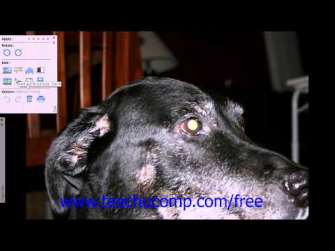 Photoshop Elements 12 Tutorial Using Toolbars and Panels in Full Screen View Adobe Training 2.4